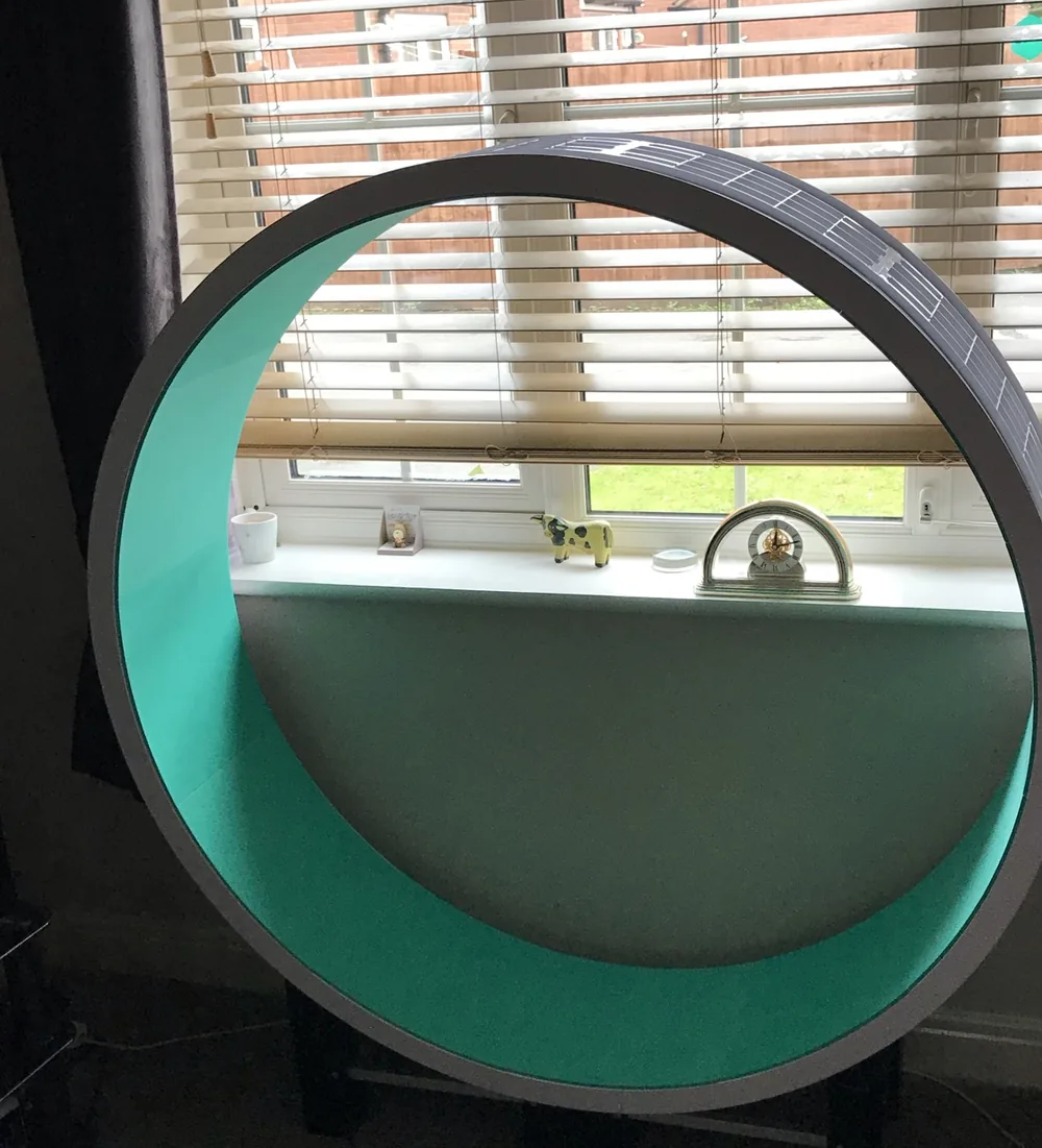 Large assembled cat exercise wheel with a solid green running surface standing in a living room by a window