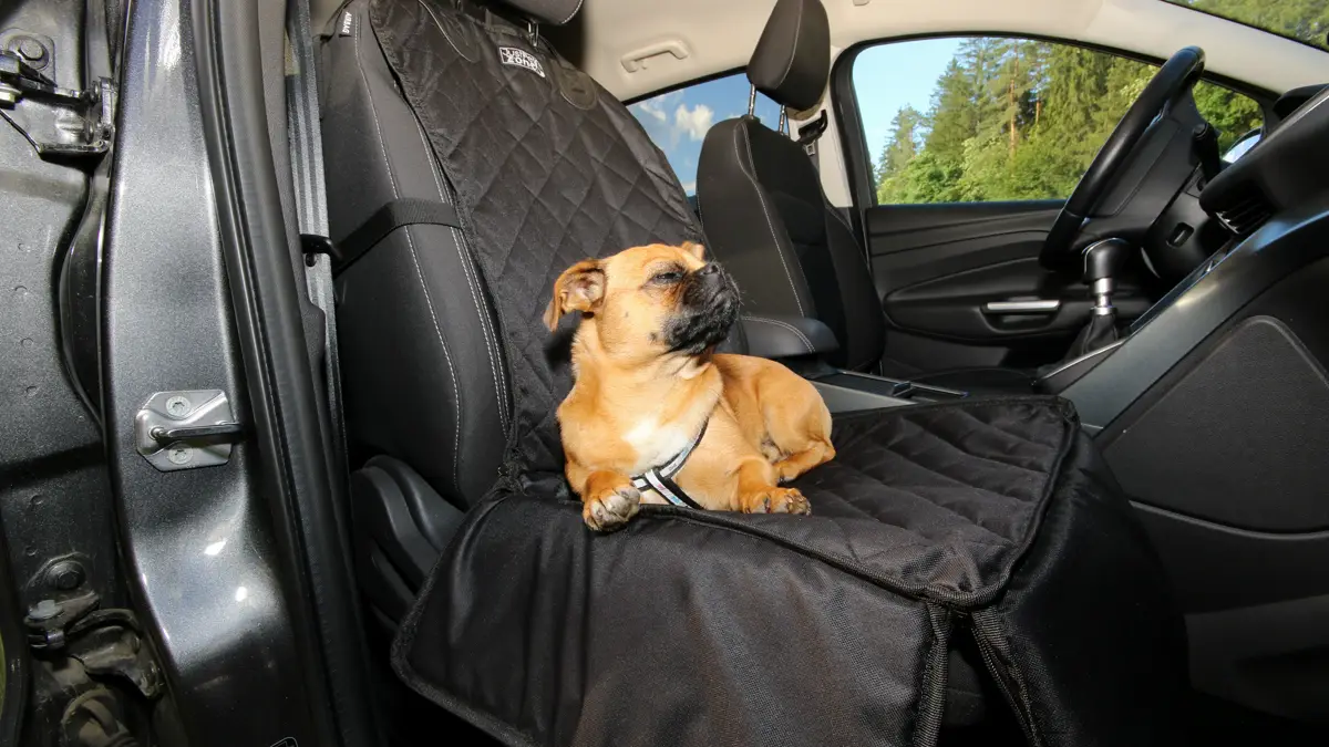 Dog lying on a quilted car seat cover with no tether attached