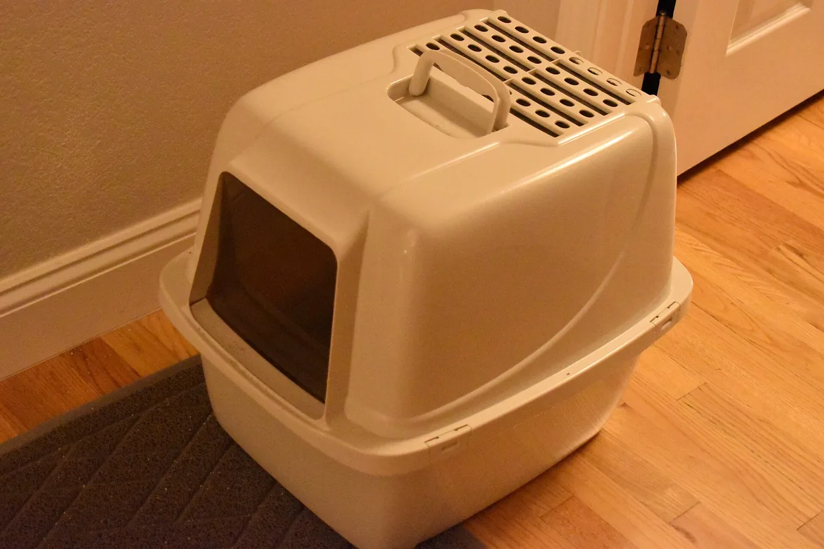 Hooded plastic litter box standing on a dark textured mat beside a skirting board