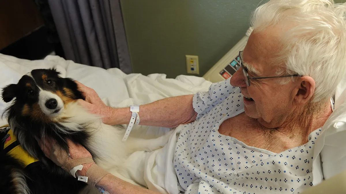 Therapeutic Dog: What Therapy Dogs Do and How