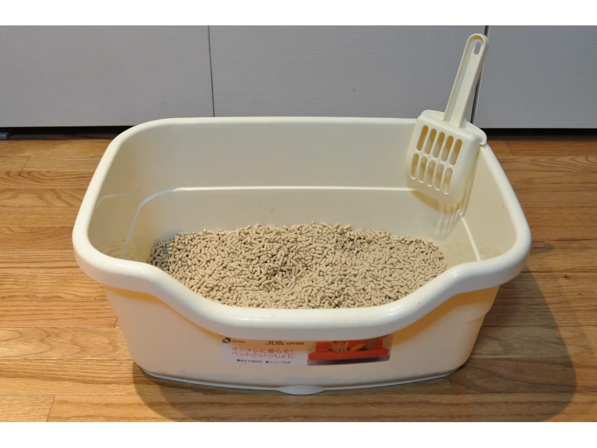 Open cat litter tray prepared with fresh litter