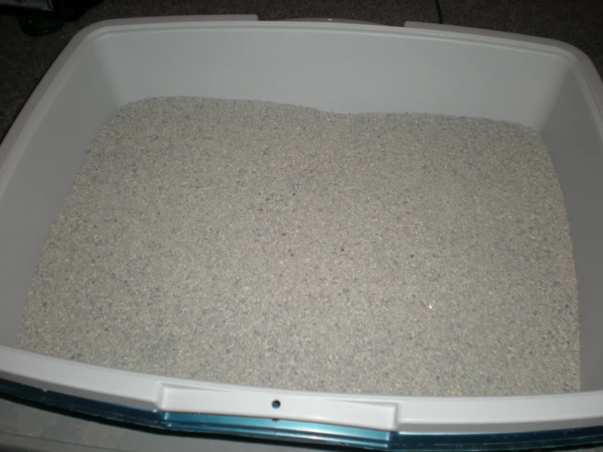Fresh cat litter in a clean litter box
