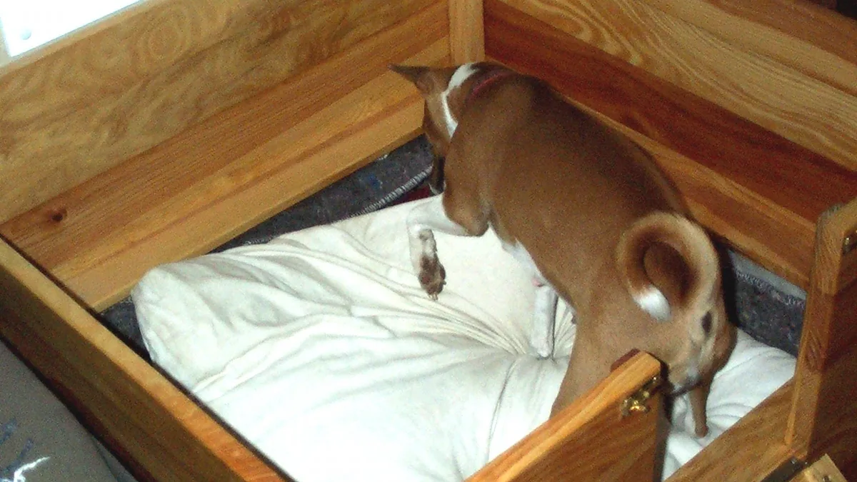 Whelping Box for Dogs: Size, Setup and Safety