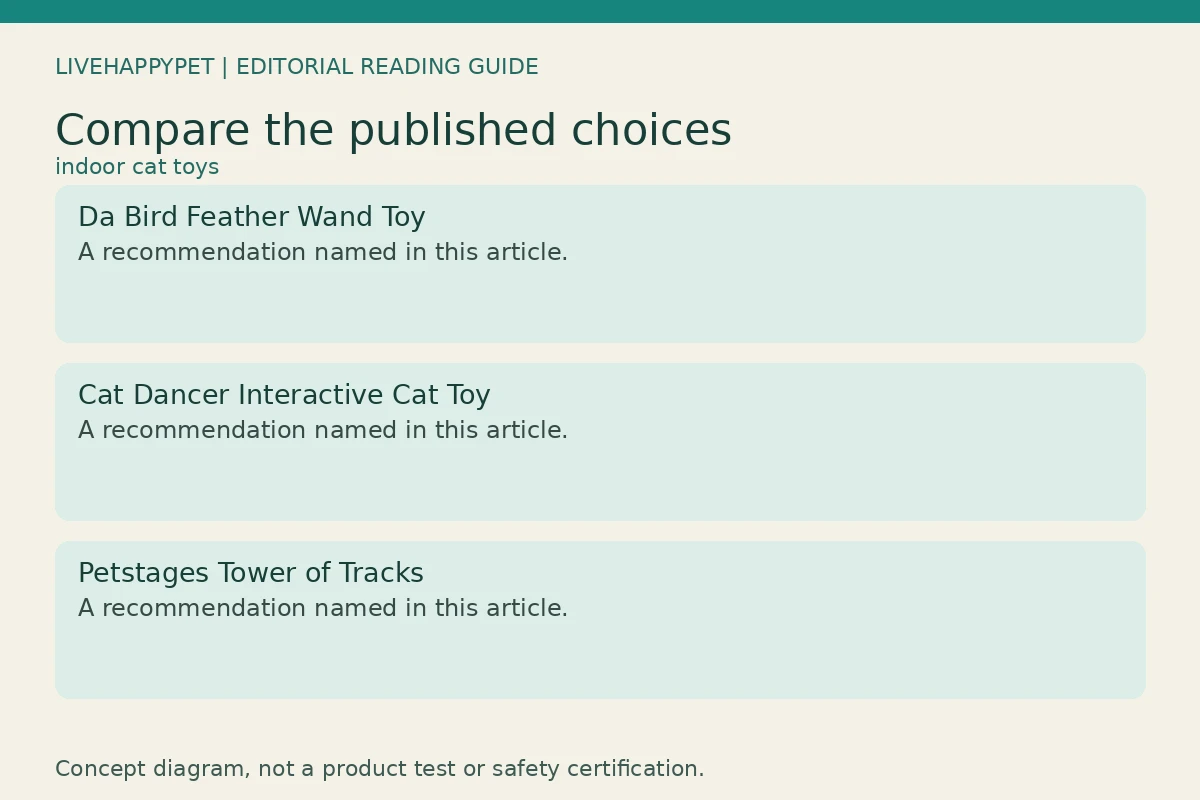 Editorial comparison and practical checking guide for indoor cat toys