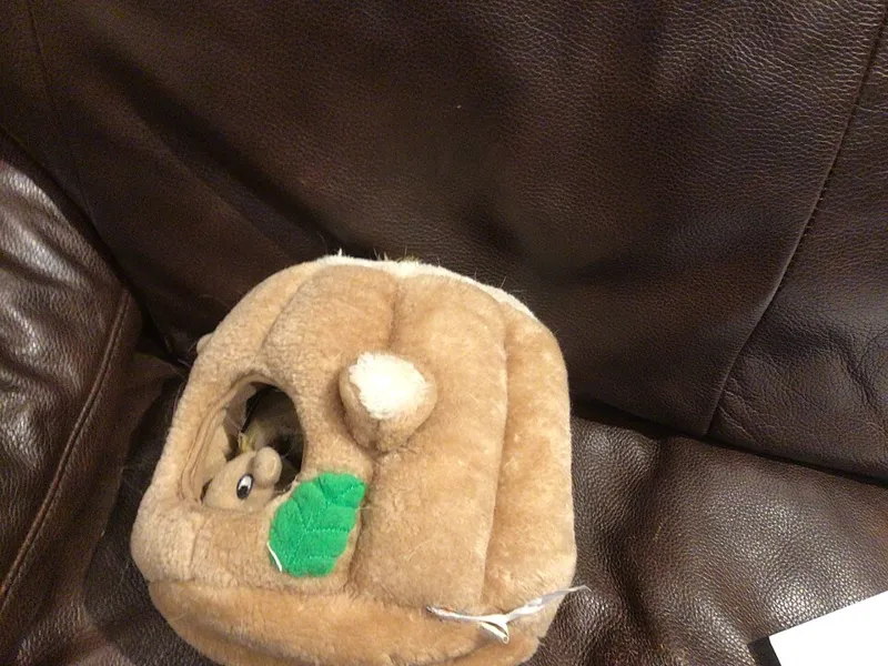 A tan plush tree-stump puzzle toy on a brown leather sofa, with a small plush squirrel peeking out of a hole, worn fabric and a loose care tag at the base