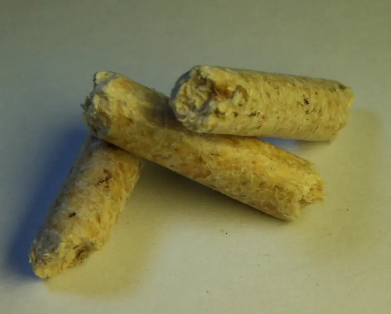 Close up of three short cylindrical pale yellow compressed wood pellets lying on a light surface