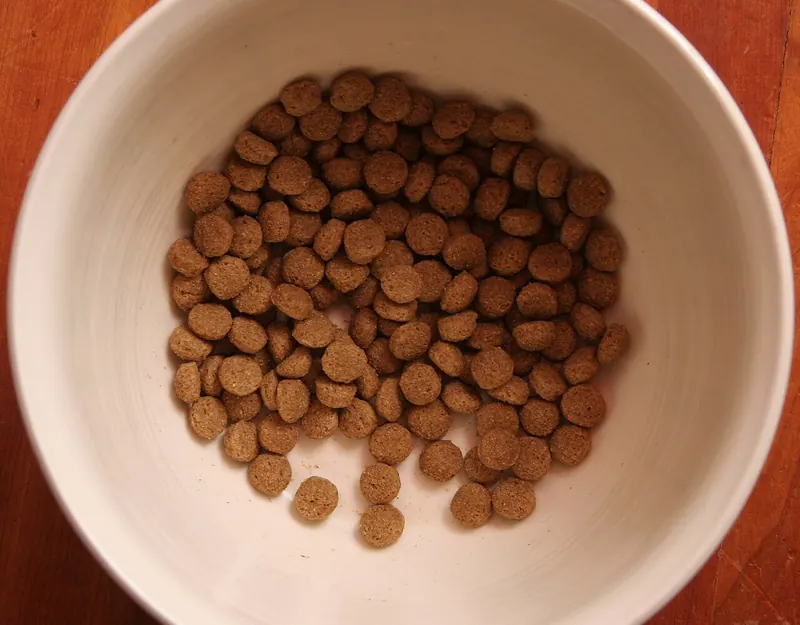 Top down view of a white ceramic bowl holding a portion of small round brown dog kibble on a wooden floor
