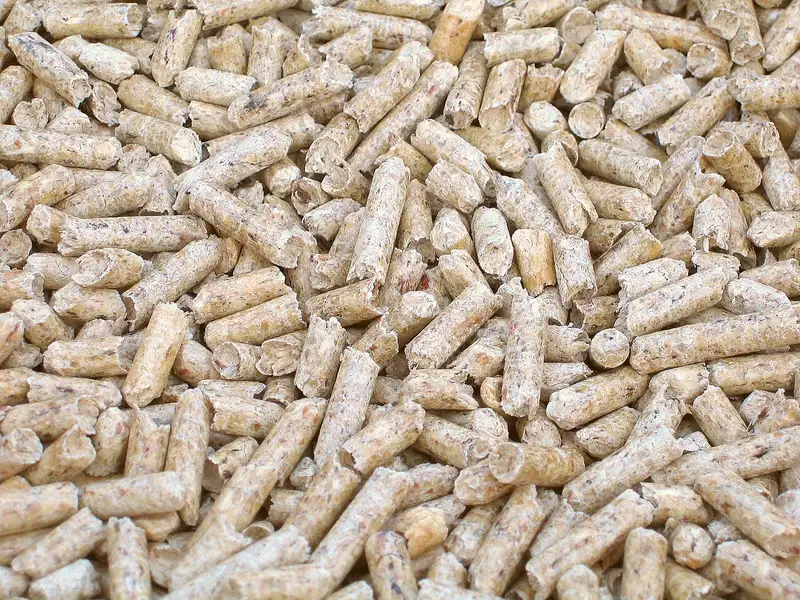 A close up of a pile of light tan compressed wood pellets, each a short cylinder with rough ends