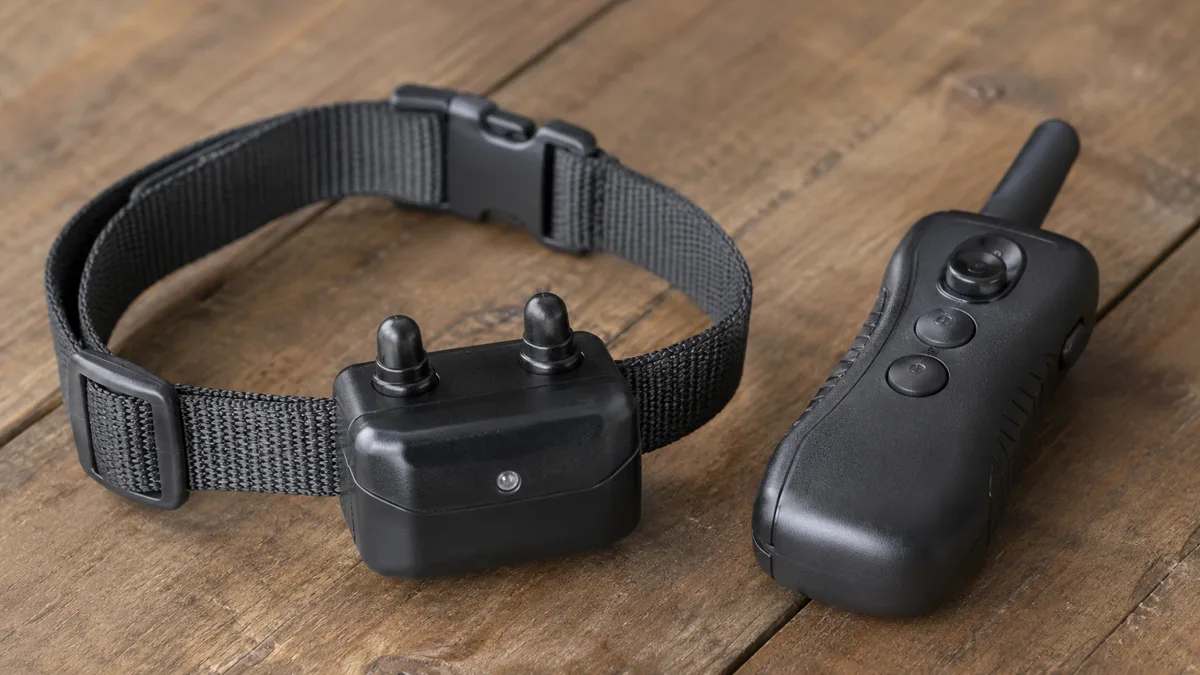 Electronic training collar receiver with rubber contact points next to its handheld remote