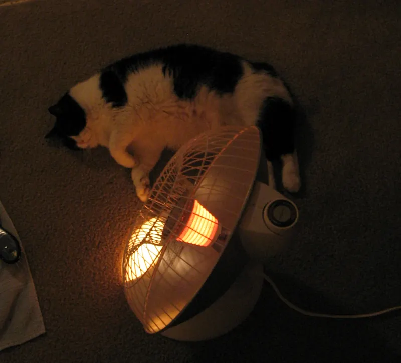 A black and white cat lies stretched out on a carpet right next to a glowing electric space heater at night