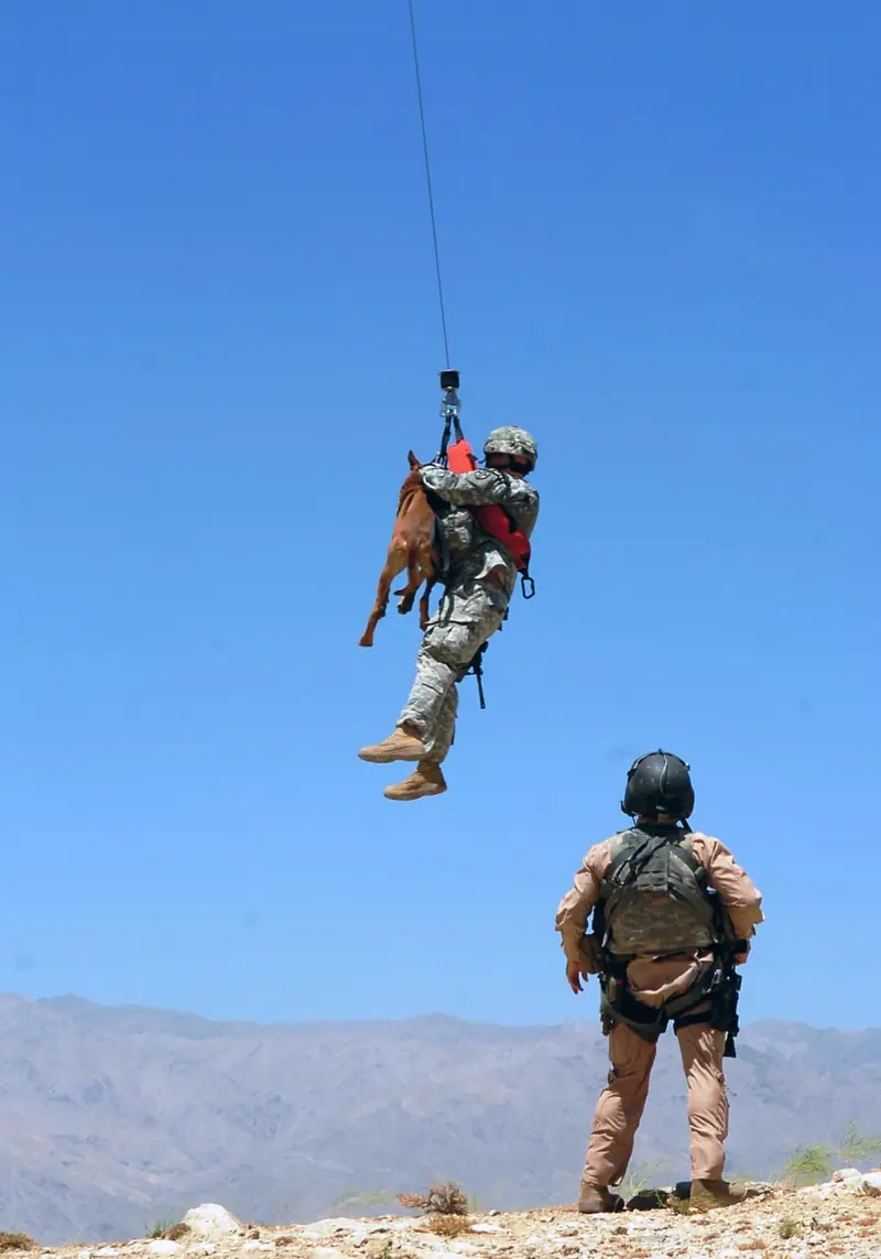A soldier in a helicopter hoist harness is lifted into the air together with a military working dog strapped securely to his chest, while another soldier watches from the ground