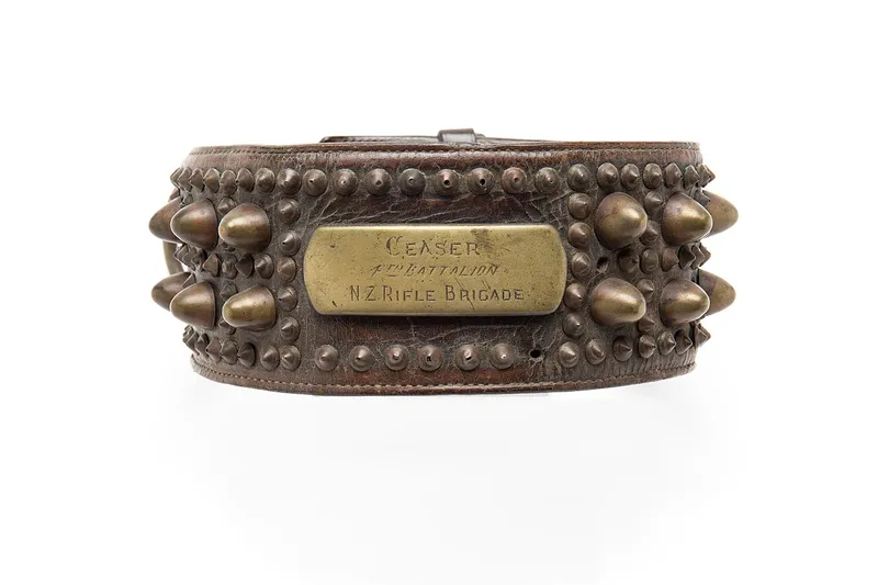 A wide brown leather dog collar with rows of brass studs and an engraved brass name plate, photographed against a white background