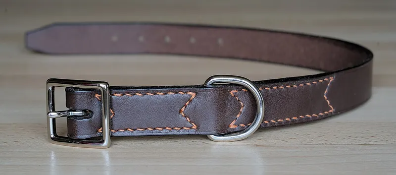 A brown leather dog collar with a steel roller buckle, a D ring and orange saddle stitching, lying on a wooden surface