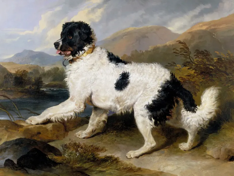 A nineteenth century oil painting of a black and white Newfoundland dog striding across rocky ground in front of hills and a lake