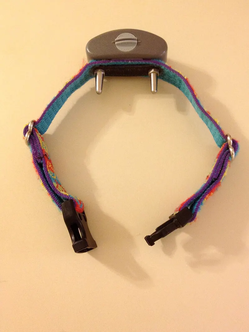 An electronic containment receiver collar on a bright woven nylon strap, with a grey receiver box and two metal contact points facing inward