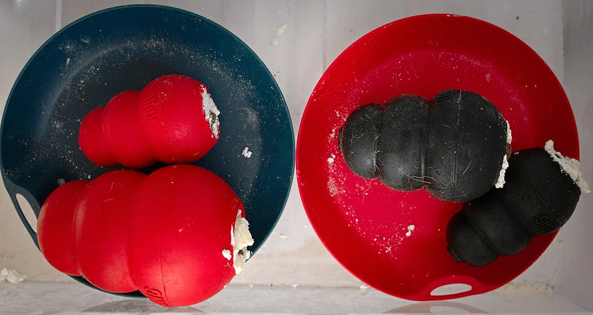 Four stuffed KONG toys, two red and two black in different sizes, resting on two plates inside a freezer with the filling visible at the openings