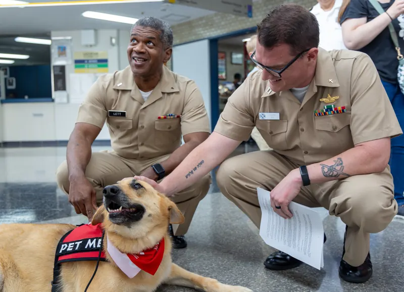 Two U.S. Navy officers crouch to pet a tan therapy dog wearing a red vest that says Pet Me in a hospital lobby