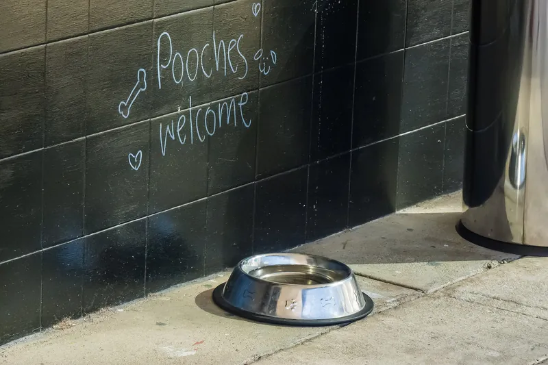 A plain stainless steel dog water bowl with a dark rim around its base sits on the pavement beside a black tiled wall with Pooches welcome written in chalk