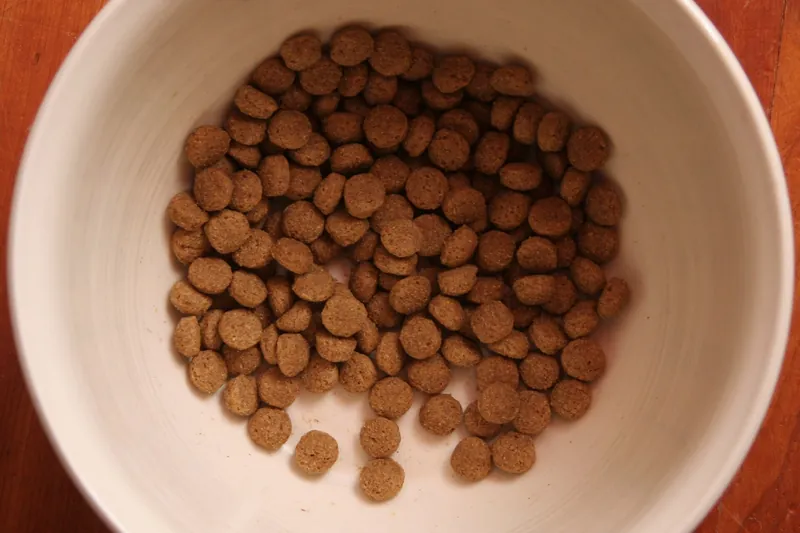 Top down view of dry kibble in a cream colored handmade ceramic bowl on a reddish wooden table