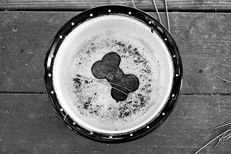 Black and white photo looking down into a used dog bowl with a bone shape in the bottom, dark specks of residue and a pine needle left inside, on a wooden deck