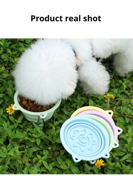 Collapsible Silicone Travel Bowl with Slow Feeder Base