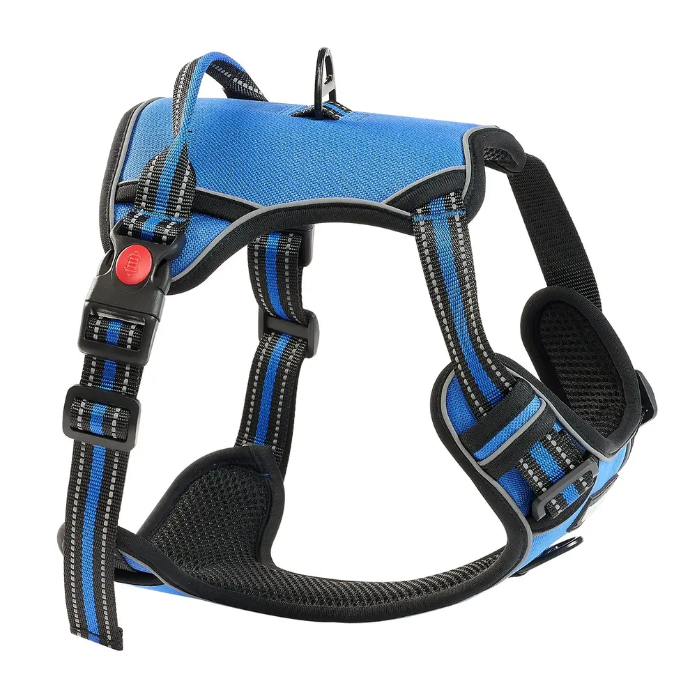 No-Pull Dog Harness and 5 ft Leash Set, Large